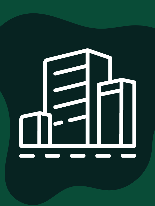 Enterprise SEO Services