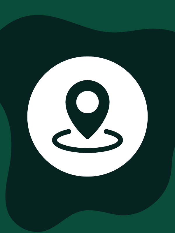 Local SEO Services